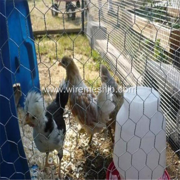 1/2 Hexagonal Wire Mesh For Animal Enclosure